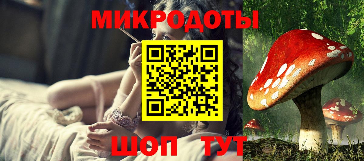 Галлюциногенные грибы MAGIC MUSHROOMS Каменка