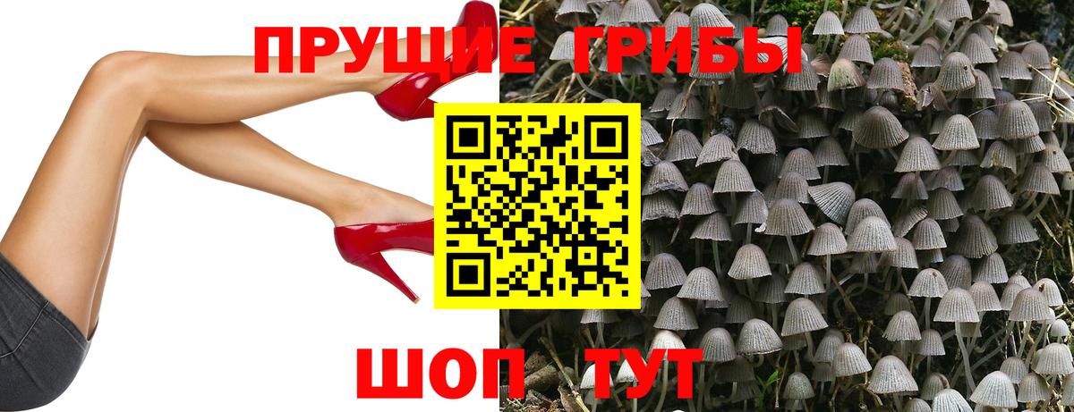 Галлюциногенные грибы прущие грибы  Вход с VPN  наркотики  Галлюциногенные грибы прущие грибы  Каменка 